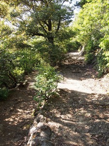 分岐前02
