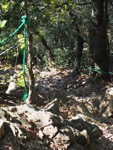馬の背登山道08