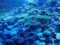 赤道の海02