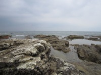 磯場01