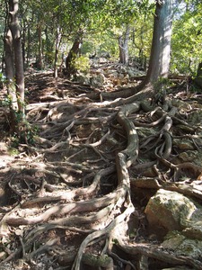 馬の背登山道05