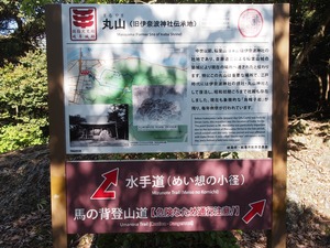 分岐前04