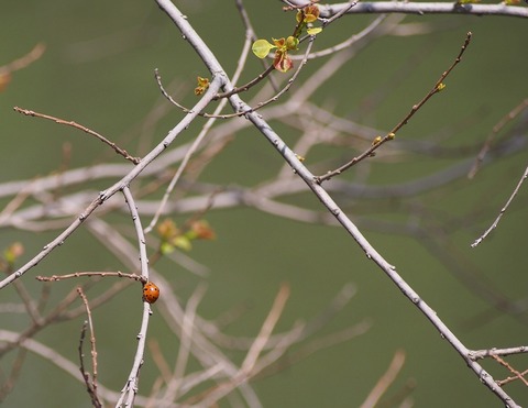 P5010167