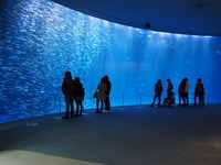 日本の海01