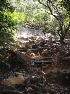 馬の背登山道04