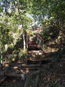 馬の背登山道15