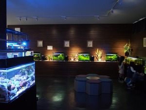 展示室01