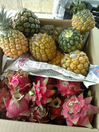 Picture071312_155046