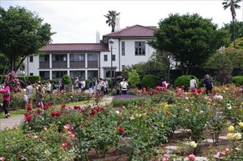 横浜山手の港の見える丘公園にあるバラ園