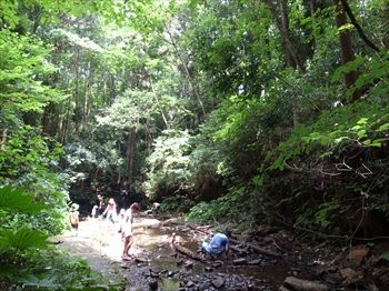 横浜市旭区にある渓谷「陣ヶ下渓谷公園」