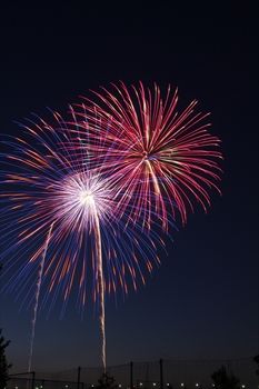 新横浜花火大会の花火