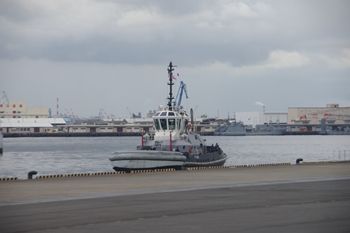 横浜みなとみらいの九都県市合同防災訓練の風景