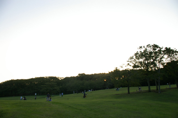 横浜根岸森林公園の原っぱ