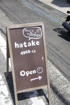 Ҥˤѥ󲰤hatake 4968-12פδ