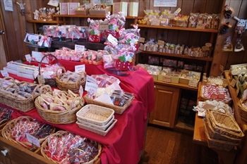 横浜綱島で見つけた洋菓子店で買って帰ったおいしいシュークリーム 横浜ブログ 横浜綱島で見つけた洋菓子店で買って帰ったおいしいシュークリーム 横浜ブログ