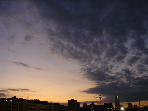 横浜市の夜景