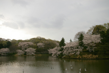 県立三ツ池公園の園内