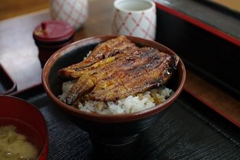 新横浜にあるうなぎ屋さん「御食事処 スズキ」のうな丼