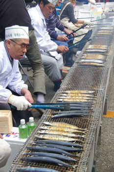 横浜市場まつりのサンマ