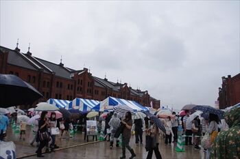 横浜赤レンガ倉庫のパンフェスの会場