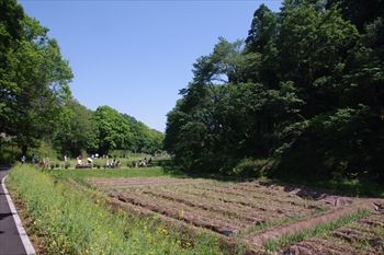 第33回全国都市緑化よこはまフェアの里山ガーデン