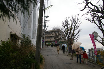 横浜大倉山の観梅会への道