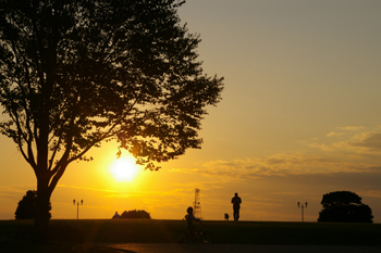 横浜根岸森林公園の夕日とシルエット