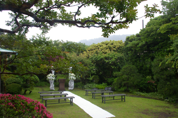 葉山庵のお庭