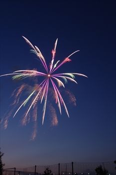 新横浜花火大会の花火