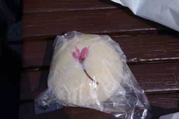 横浜ベイサイドマリーナのパンまつりのパン
