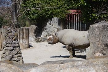 横浜金沢区にある「金沢動物園」の動物