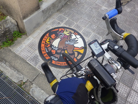 RIMG6856