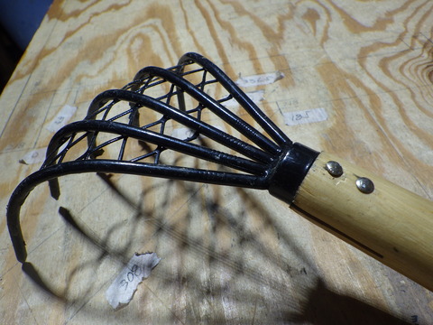 RIMG6155