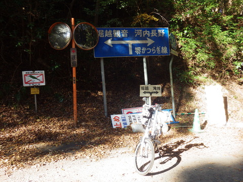 RIMG1451