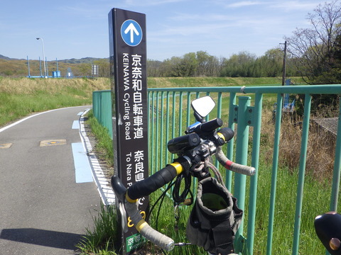 RIMG6831