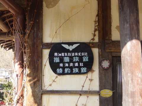 RIMG5981