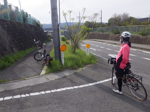 RIMG6848