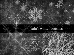 Rain__s_Winter_Brushes_by_Le_Rain