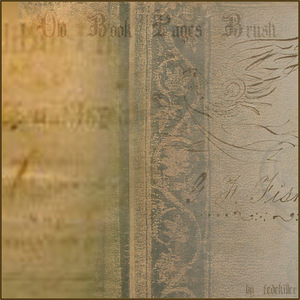 Old_Book_Pages_Brush_by_fedekiller