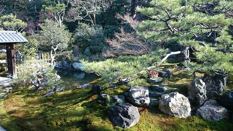 建仁寺 両足院 若冲 特別公開 庭03