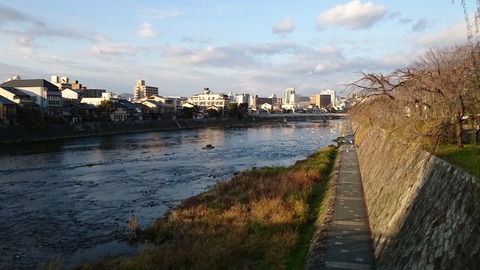 加茂川 京都 冬 夕暮れ
