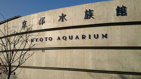 京都水族館 入口