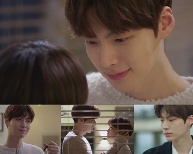 シンデレラと4人の騎士 DVD