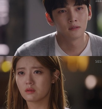 怪しいパートナー DVD