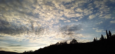 IMG_20201104_171002812