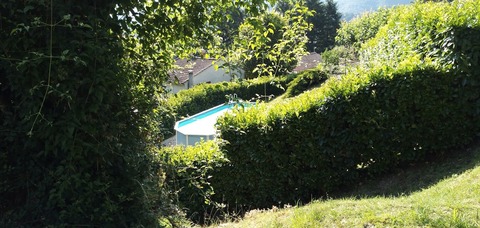 IMG_20200702_090239833
