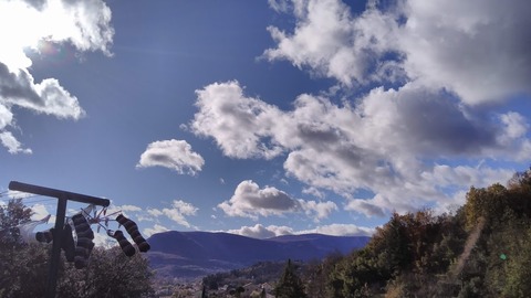 IMG_20201119_123009