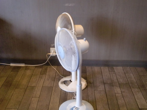 男は扇風機