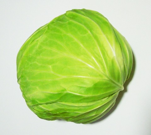 28217658_s