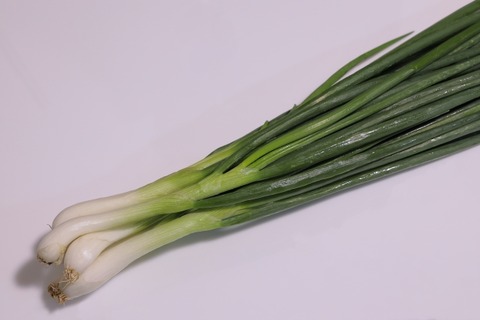 25471284_s